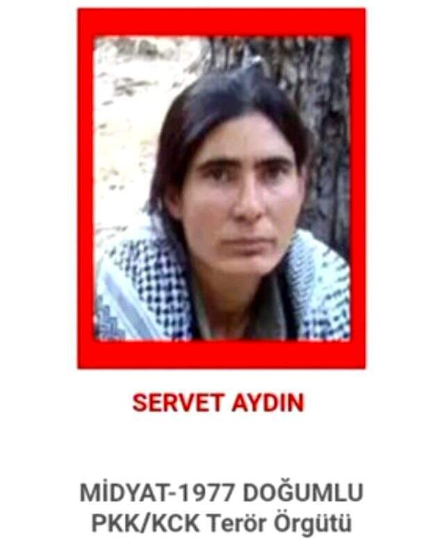 MİT ve TSK'dan ortak operasyon: Kırmızı listedeki 2 PKK'lı öldürüldü