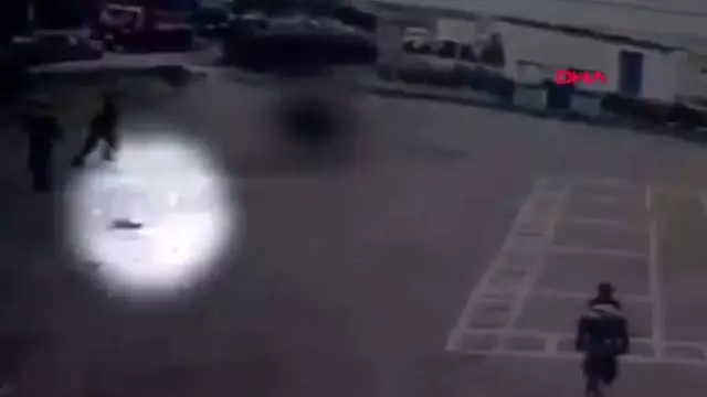 Uyuşturucu kuryesi olarak kullanılan kedi gözaltına alındı Uyuşturucu kuryesi olarak kullanılan kedi gözaltına alındı