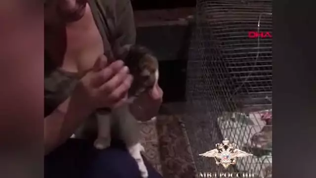 Uyuşturucu kuryesi olarak kullanılan kedi gözaltına alındı Uyuşturucu kuryesi olarak kullanılan kedi gözaltına alındı