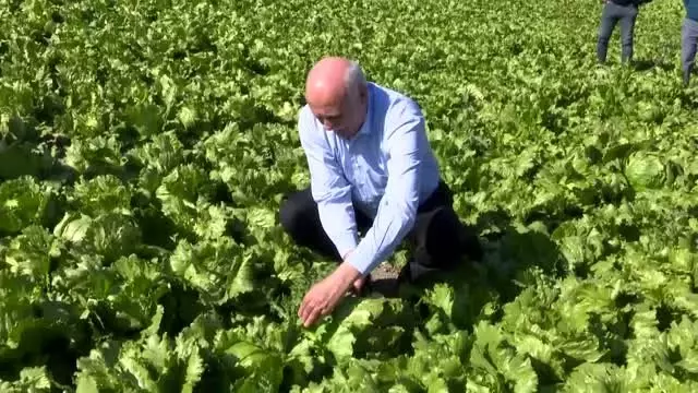 TZOB Genel Başkanı Bayraktar, Beypazarı'nda
