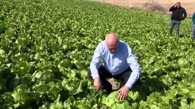 TZOB Genel Başkanı Bayraktar, Beypazarı'nda