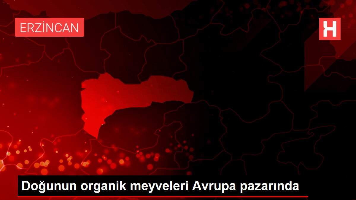 Doğunun organik meyveleri Avrupa pazarında