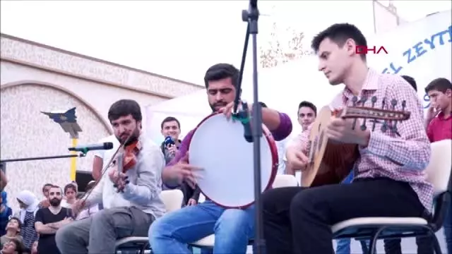 Hatay suriyeli yetimlerin, zeytin hasat şöleni Hatay suriyeli yetimlerin, zeytin hasat şöleni