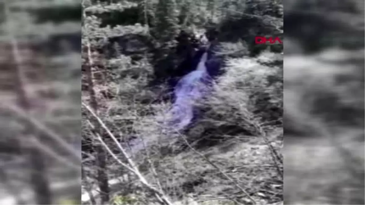 Bartın'da doğa harikasının tabiat parkı olması bekleniyor