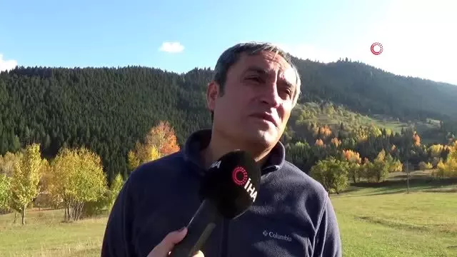 Bu restoranın içinden ağaç geçiyor Bu restoranın içinden ağaç geçiyor