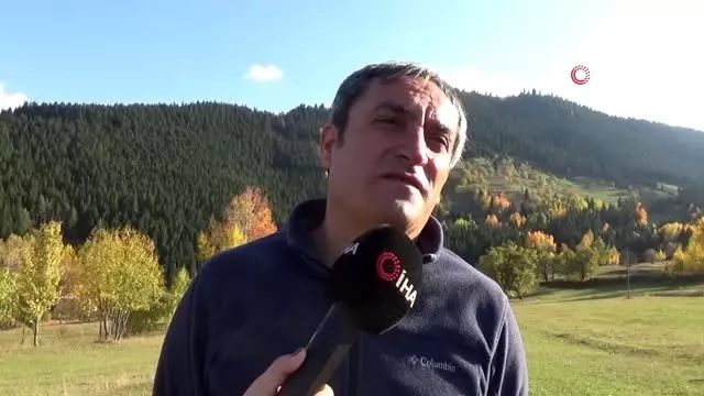 Bu restoranın içinden ağaç geçiyor Bu restoranın içinden ağaç geçiyor