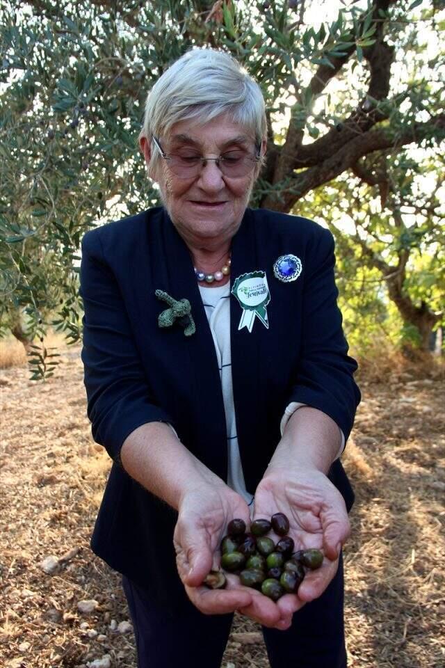 Canan Karatay açıkladı: Zeytinyağı, kanser yanı sıra birçok hastalığın ilacıdır