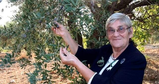 Canan Karatay açıkladı: Zeytinyağı, kanser yanı sıra birçok hastalığın ilacıdır