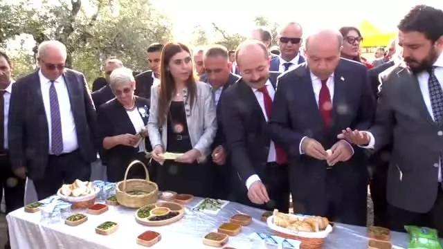 Prof. Dr. Karatay: 'Zeytinyağı altından daha değerlidir' Prof. Dr. Karatay: 'Zeytinyağı altından daha değerlidir'