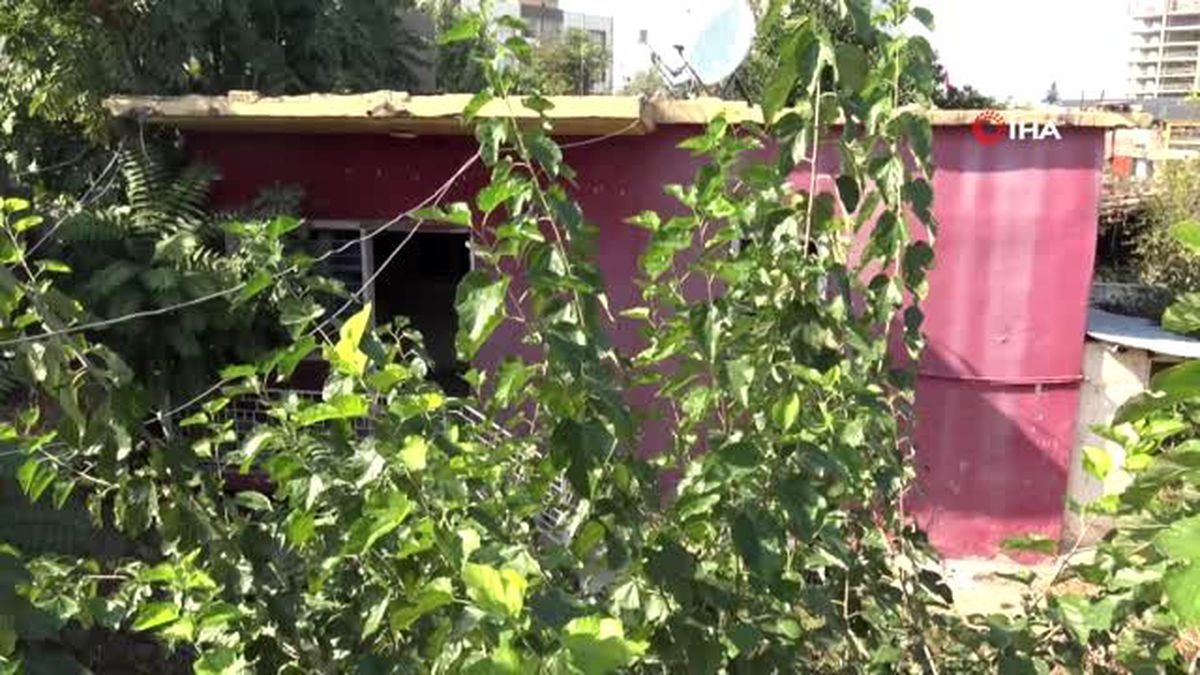 Gizemli kazının yapıldığı 'kırmızı ev' hayalet eve döndü