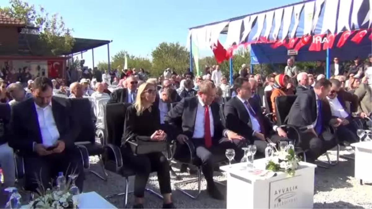 Balıkesir ve Ayvalık'ı yönetenler zeytin hasadında buluştu