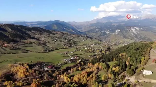 Sonbaharda farklı renklere bürünen Şavşat fotoğraf tutkunlarının gözdesi oldu Sonbaharda farklı renklere bürünen Şavşat fotoğraf tutkunlarının gözdesi oldu