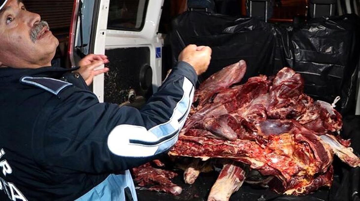 Zabıta düğmeye bastı! 400 kilo kaçak et ele geçirildi