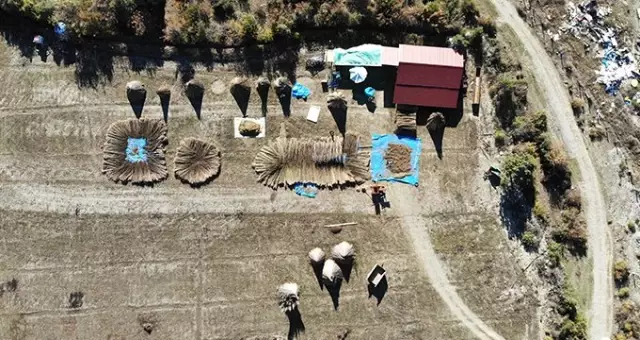 100 metrekarelik dükkanda işlediği keneviri dünyaya satıyor