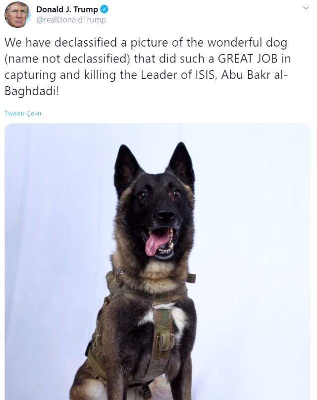 ABD'li Senatör Lindsay Graham'dan Bağdadi operasyonunda yaralanan köpek ile ilgili açıklama: Erken emekliliği hak ediyor