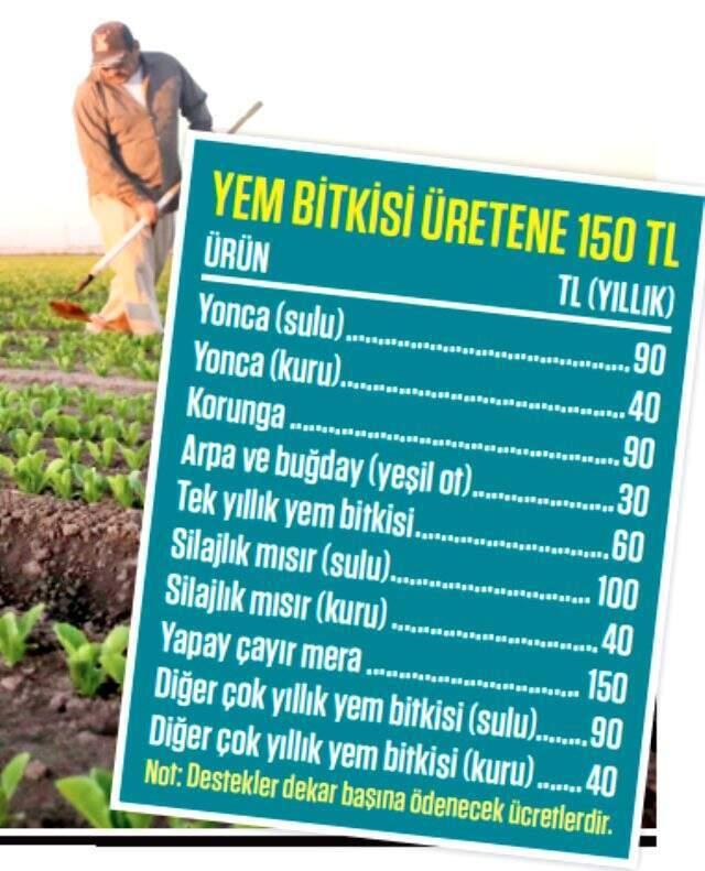 Çitçinin 2020 senesi destekleri belli oldu! İlk sefer gübre parası ödenecek
