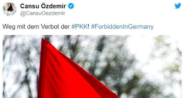 PKK destekçisi Türk asıllı Alman vekile, terör örgütü PKK paylaşımları nedeniyle mahkeme ceza verdi