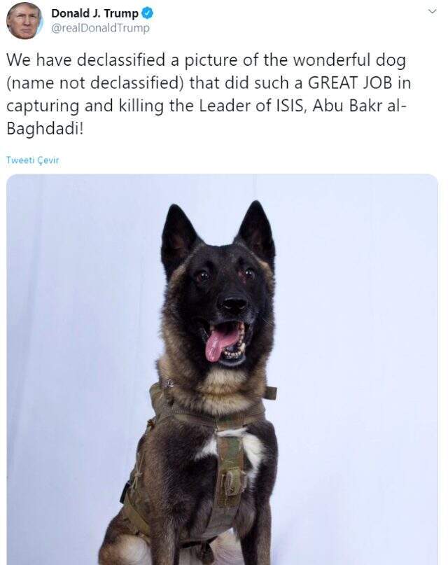 Trump, Bağdadi'nin sonunu getiren köpeğin fotoğrafını yayınladı
