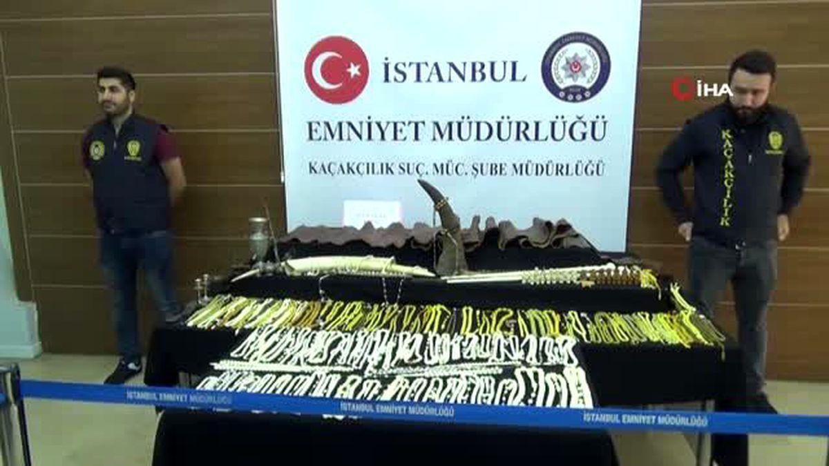 1 buçuk milyonluk gergedan boynuzu, piton yılanı derisi ve fil dişi ele geçirildi