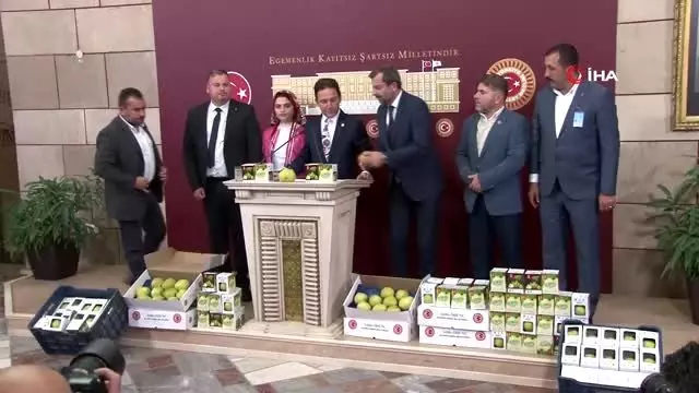 AK Partili vekil TBMM'de Gürsu armudunu tanıttı AK Partili vekil TBMM'de Gürsu armudunu tanıttı