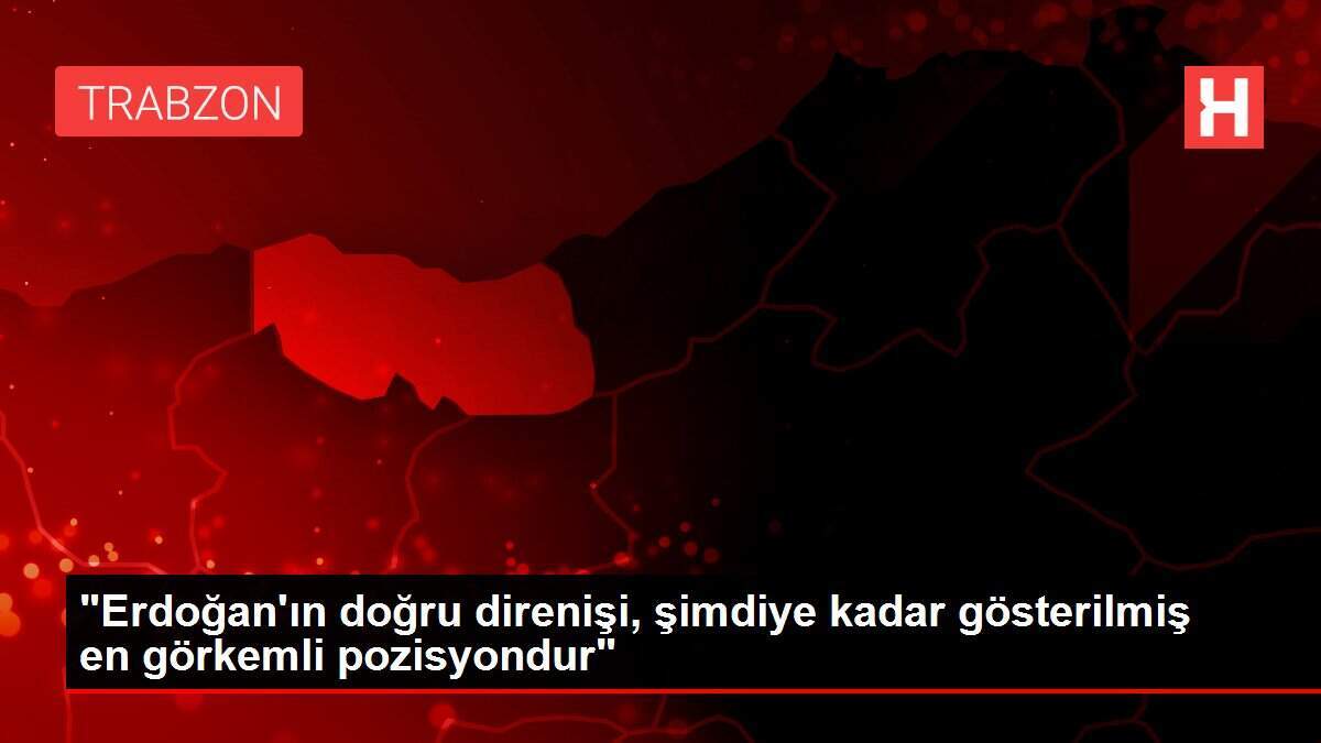 'Erdoğan'ın doğru direnişi, şimdiye kadar gösterilmiş en görkemli pozisyondur'