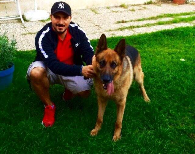 İstanbul'da vahşet! Daha önce zehirlenmek istenen köpek defalarca ateş edilerek öldürüldü