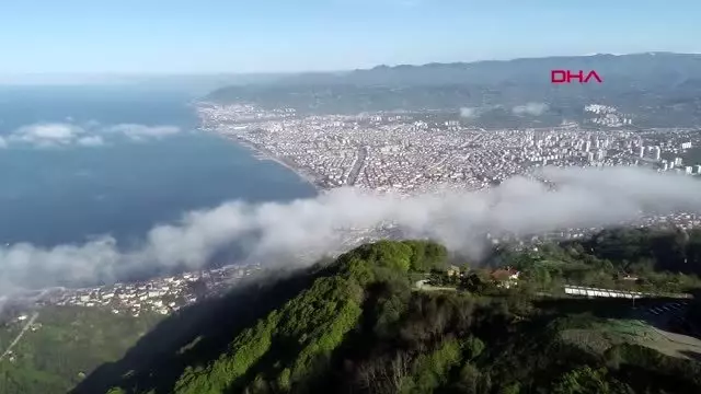 Ordu’da arapların fındık bahçesi alımı 100 dönüme ulaştı
