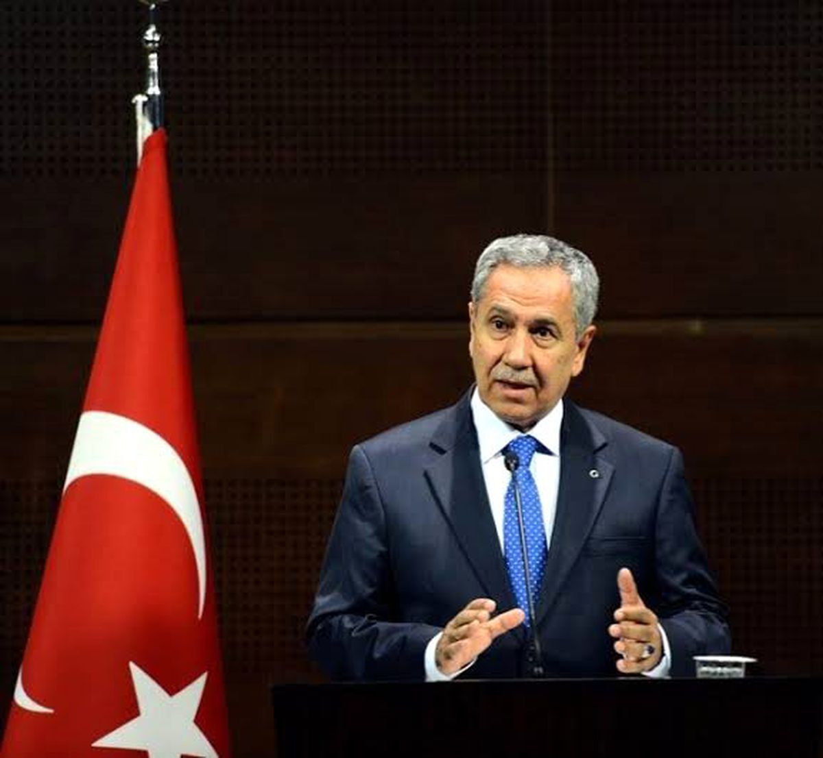 Bülent Arınç: Alevilerin de liberallerin de oylarına ihtiyacımız var