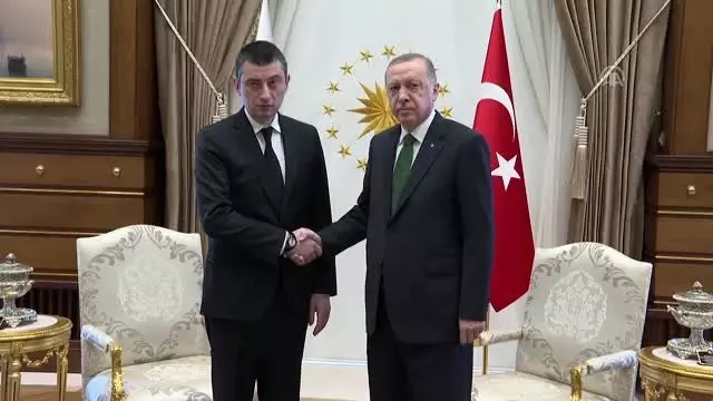 Cumhurbaşkanı Erdoğan, Gürcistan Başbakanı Gakharia'yı kabul etti Cumhurbaşkanı Erdoğan, Gürcistan Başbakanı Gakharia'yı kabul etti