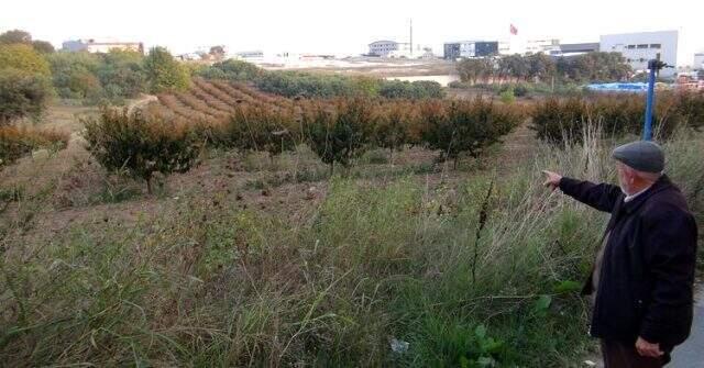 Dolandırıcılar dublör kullanıp, 50 milyon liralık arazilerini elinden aldı! Gerçeği tesadüfen öğrendi