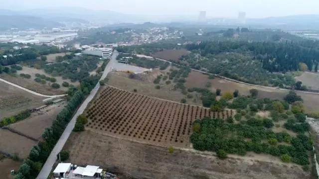 Dublör kullanıp 50 milyon liralık arazilerini elinden aldılar