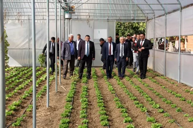 Yalıhüyük'te Tarla Günü etkinliği