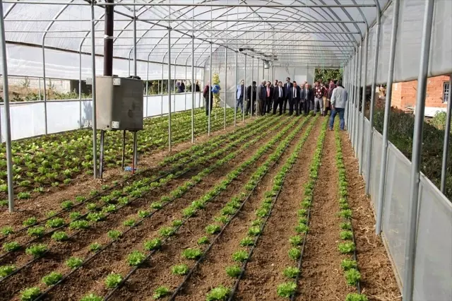 Yalıhüyük'te Tarla Günü etkinliği