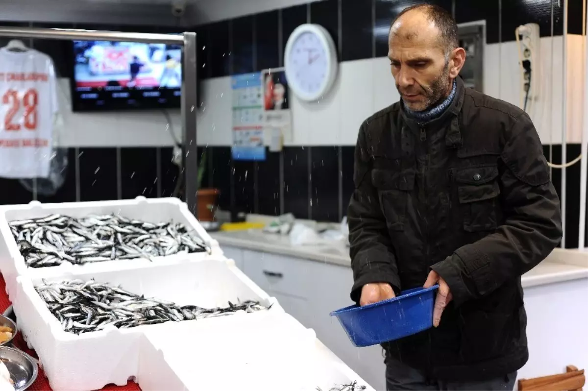 Balıkta işler tersine döndü: Palamut üzdü, hamsi güldürdü