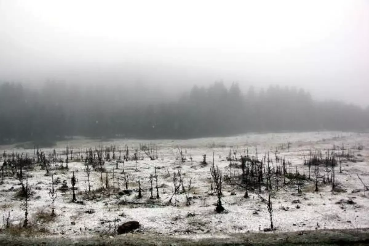 Bolu'ya mevsimin ilk karı düştü