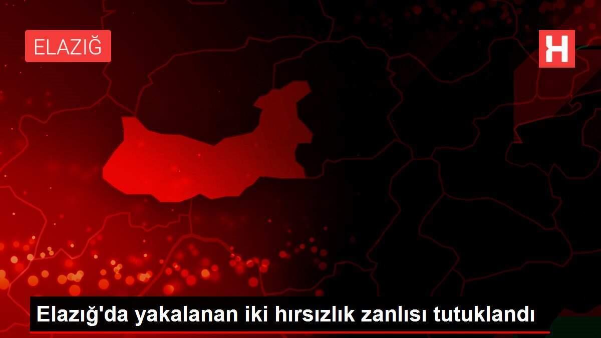 Elazığ'da yakalanan iki hırsızlık zanlısı tutuklandı