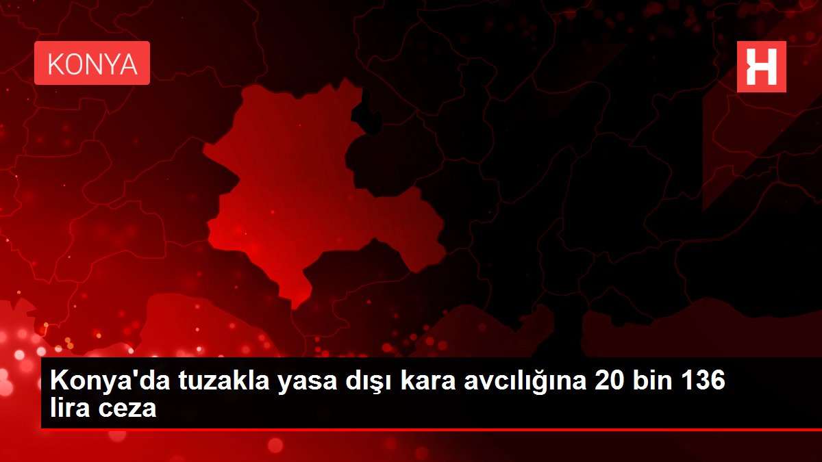 Konya'da tuzakla yasa dışı kara avcılığına 20 bin 136 lira ceza