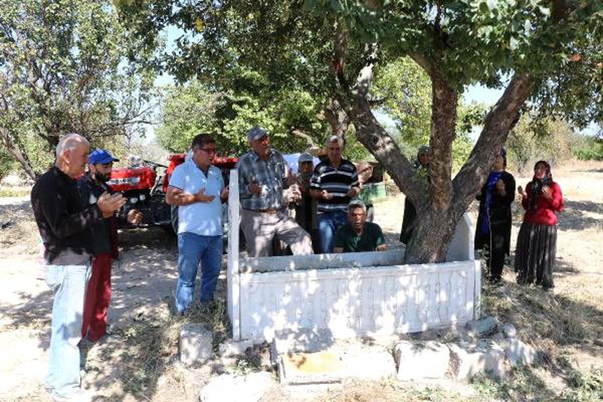 Mezardaki ağaçtan her yıl 600 kilo elma toplanıyor