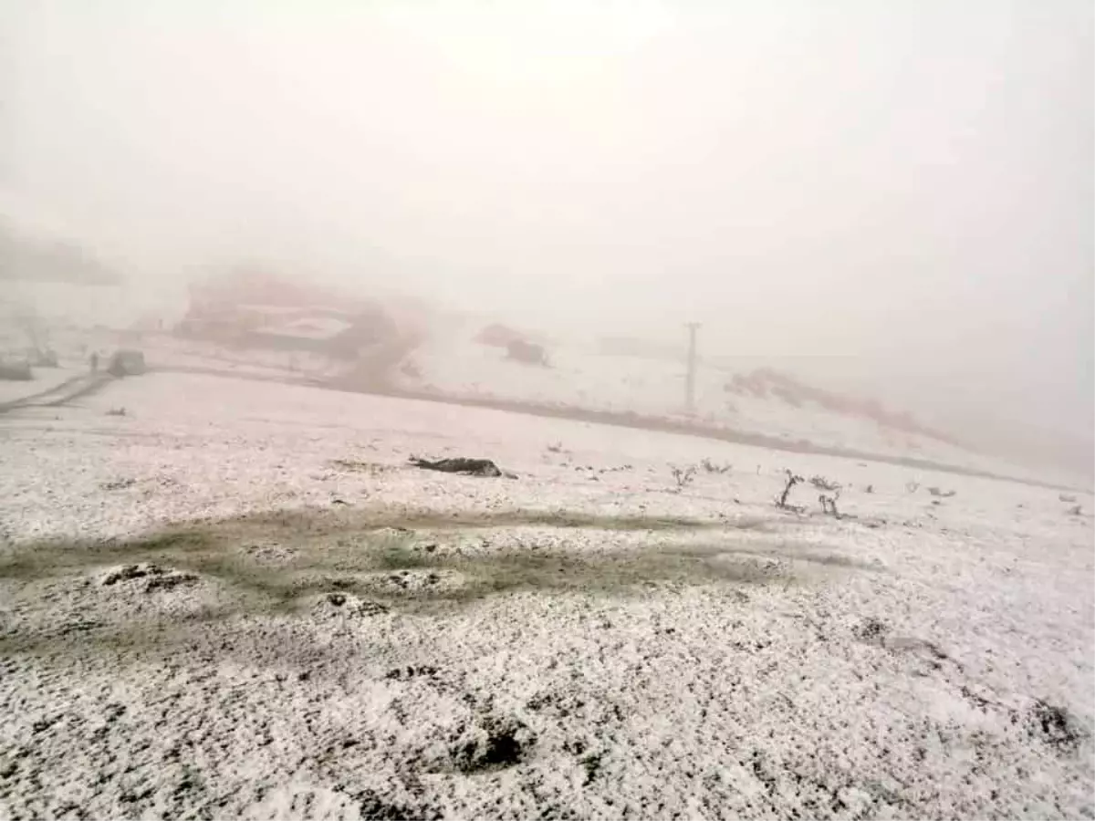 Ordu'da kar yağışı