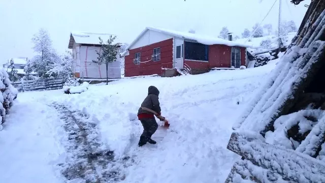 Artvin'in yüksek kesimlerine kar yağdı Artvin'in yüksek kesimlerine kar yağdı