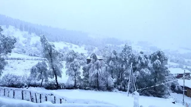 Artvin'in yüksek kesimlerine kar yağdı Artvin'in yüksek kesimlerine kar yağdı