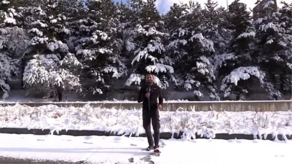 Beyaz örtüyle kaplanan Palandöken'de kış güzelliği