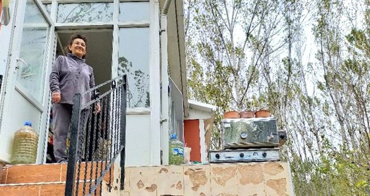 Emekli maaşını evinde baktığı 19 kedi ve 11 köpeğe harcıyor
