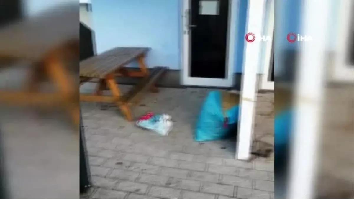 Köln'de camiye çirkin saldırı