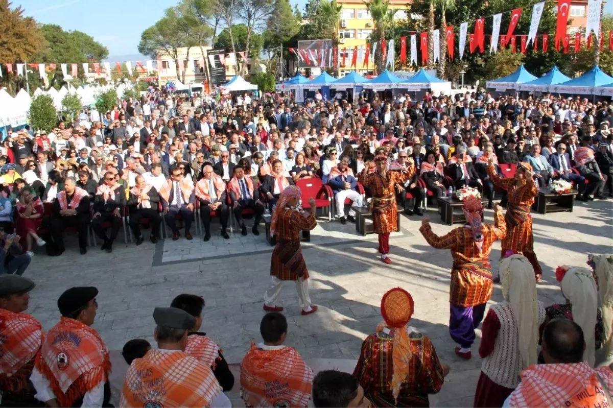 Milas, zeytin ve zeytinyağıyla şenlendi