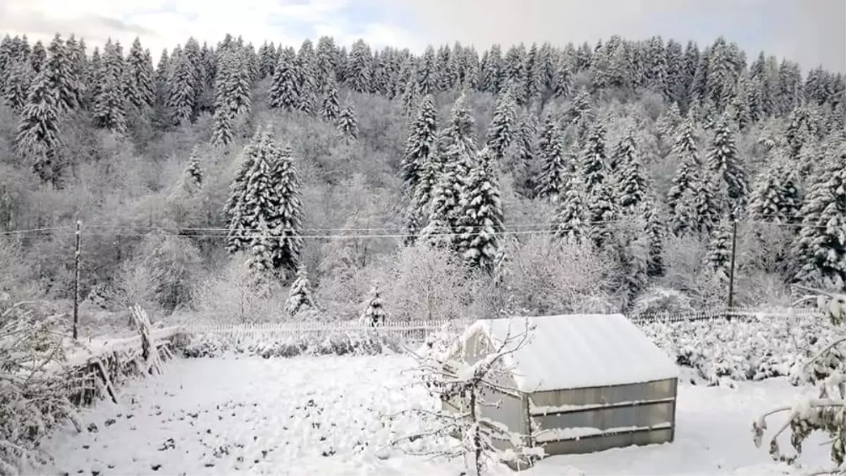 Ordu'ya mevsimin ilk karı yağdı