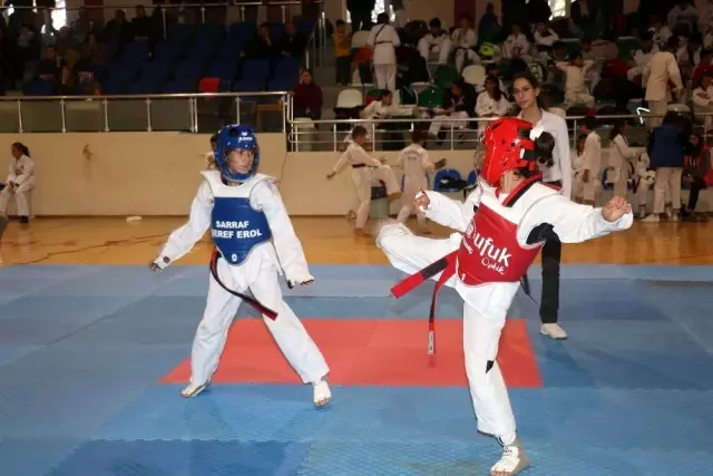 Bayramiç'te taekwondo şampiyonasına büyük ilgi