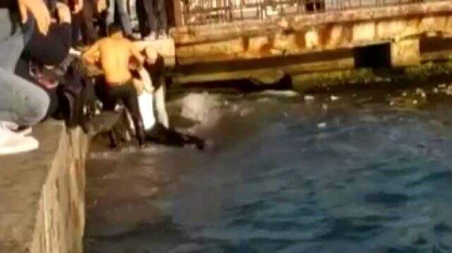 Beşiktaş'ta durağa daldıktan sonra yolcuları bıçaklayan otobüsün şoförü atladığı denizden böyle çıkarıldı