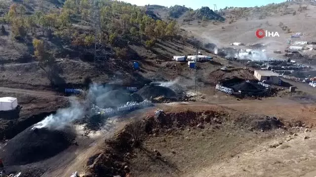 Meşe ağacının mangal kömürü olma yolculuğu