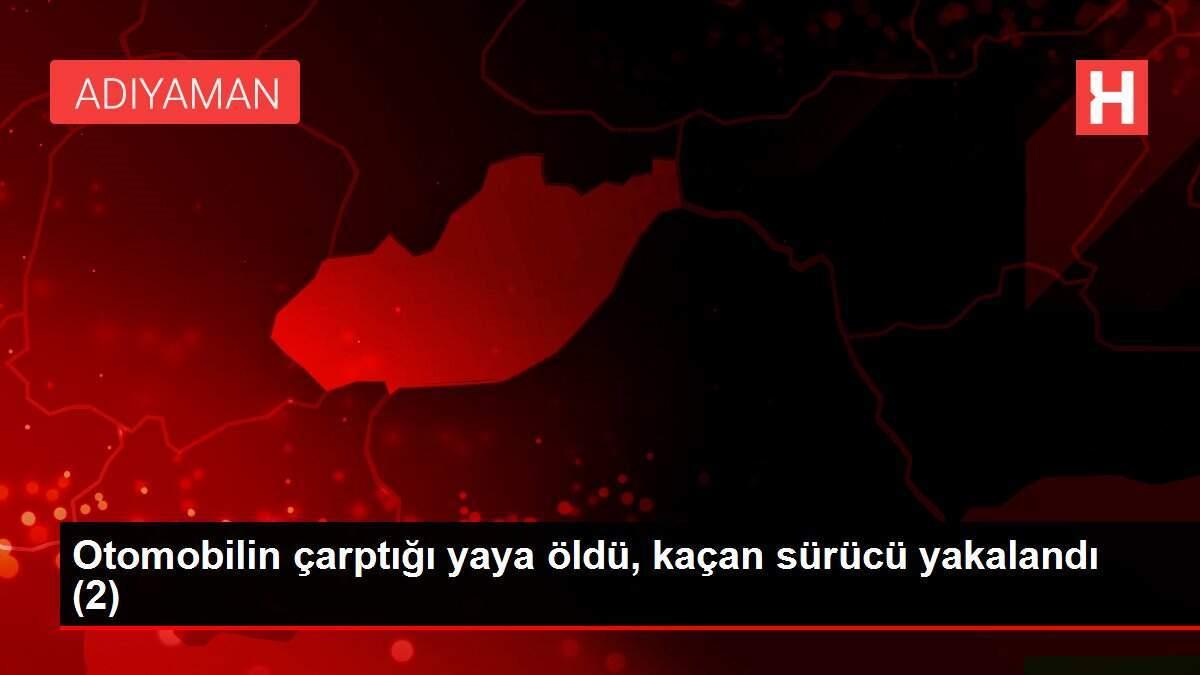 Otomobilin çarptığı yaya öldü, kaçan sürücü yakalandı (2)